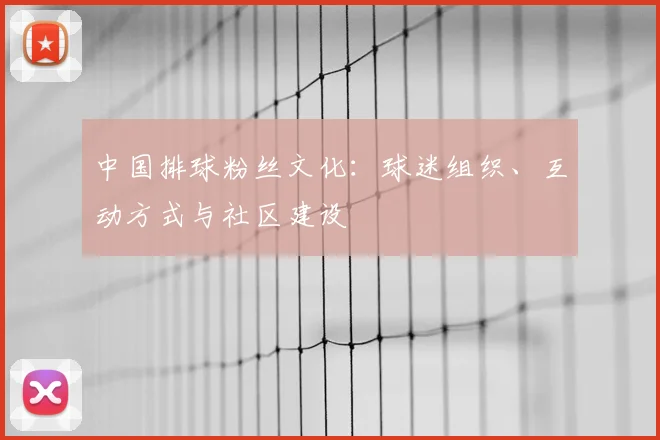 中国排球粉丝文化:球迷组织、互动方式与社区建设
